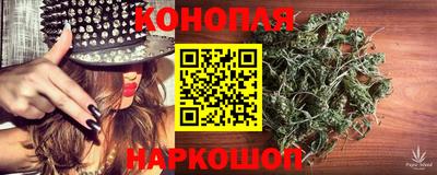 дмт Новозыбков