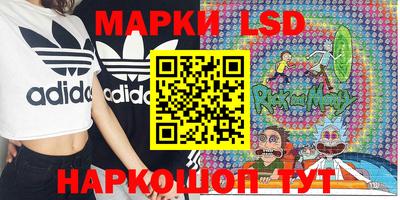 дмт Новозыбков