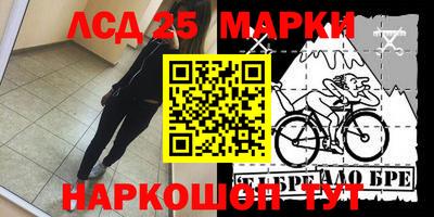 дмт Новозыбков